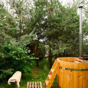 Schermafbeelding 2021-09-26 om 15.28.43